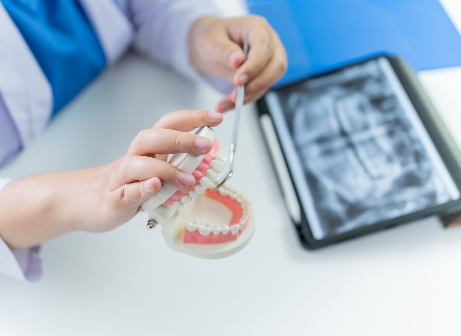 Dentist holding a dental model and instrument, with a tablet showing an X-ray.