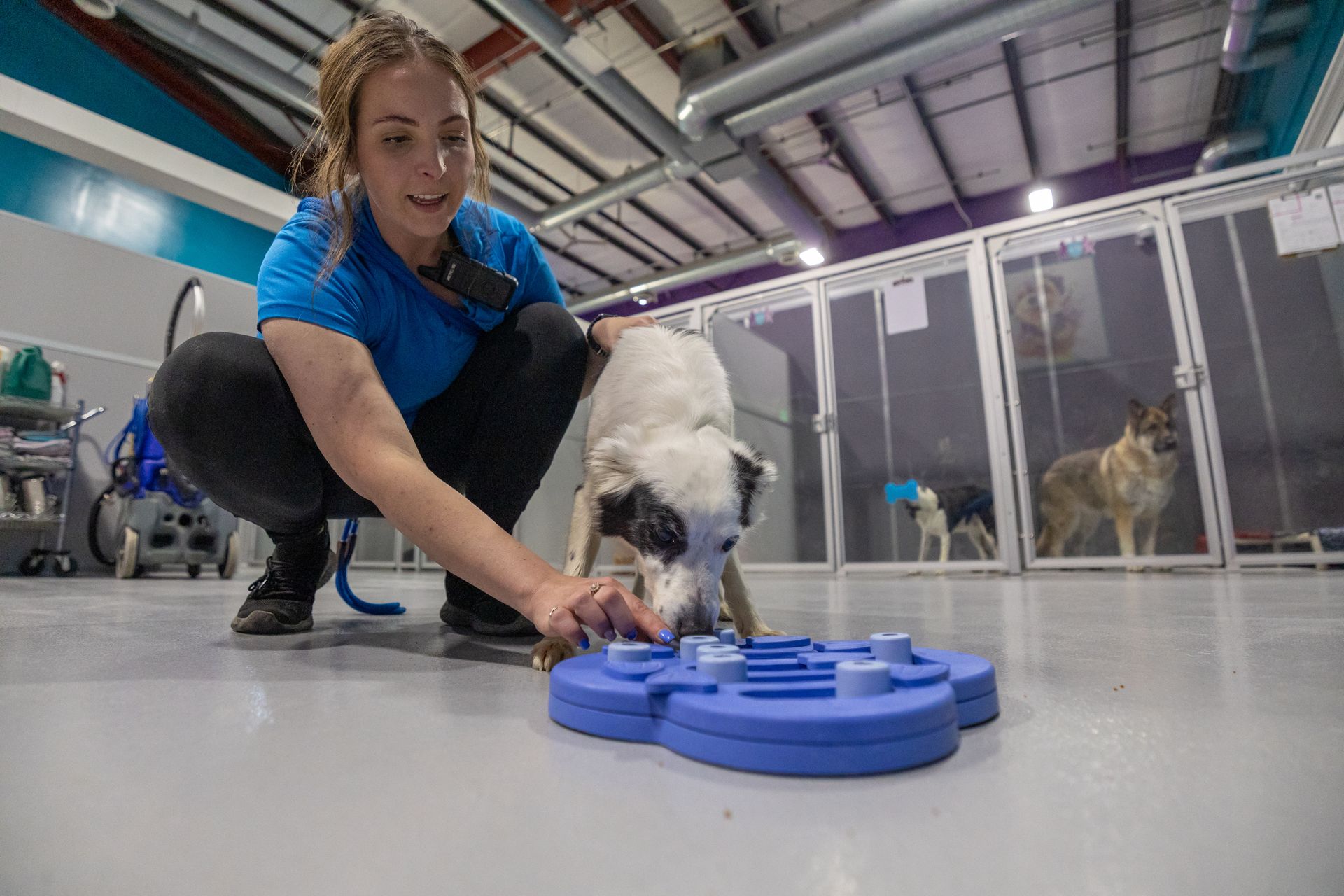 A woman is playing with a dog in a kennel.