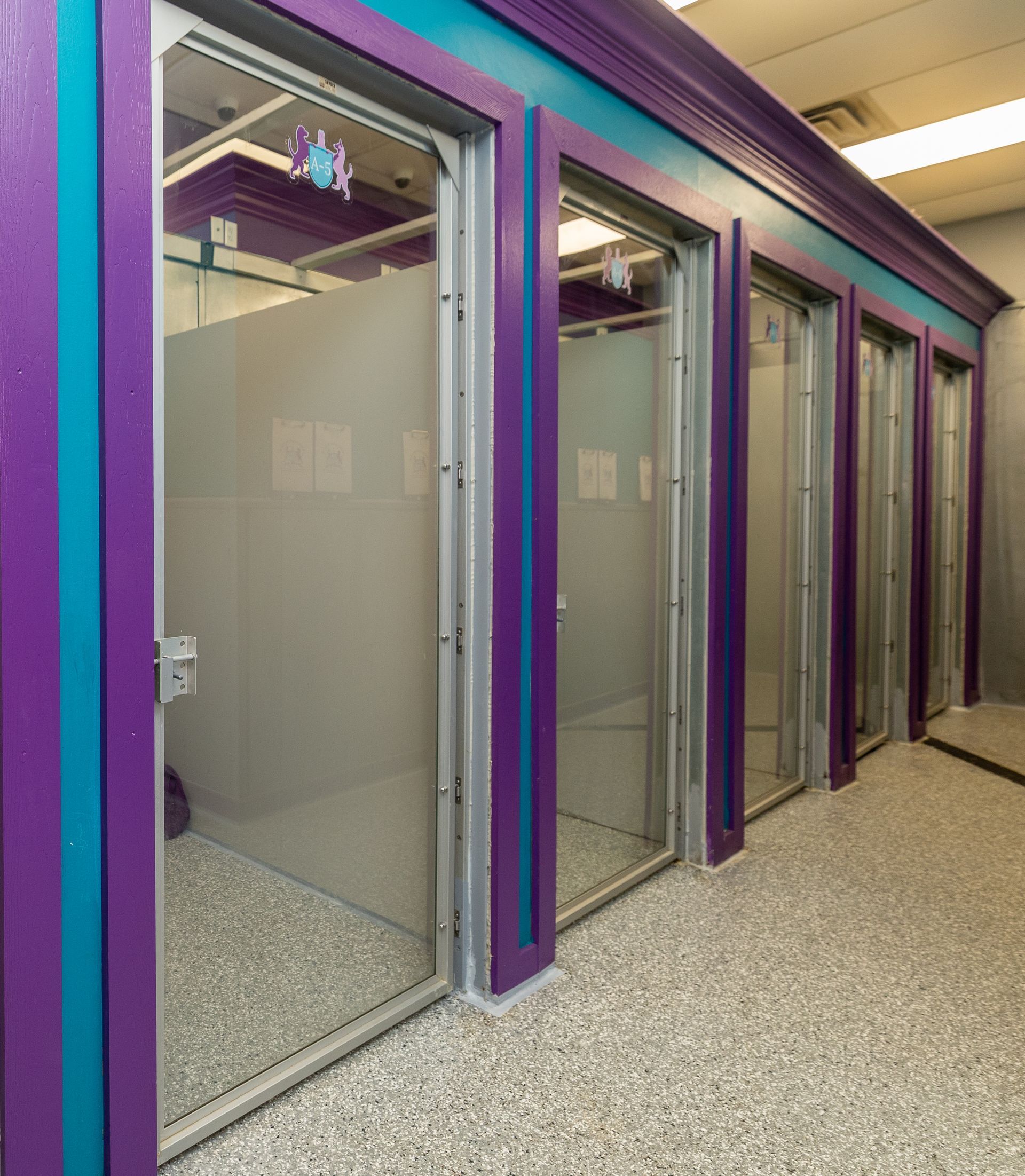 A row of purple and blue walls with glass doors in a building.