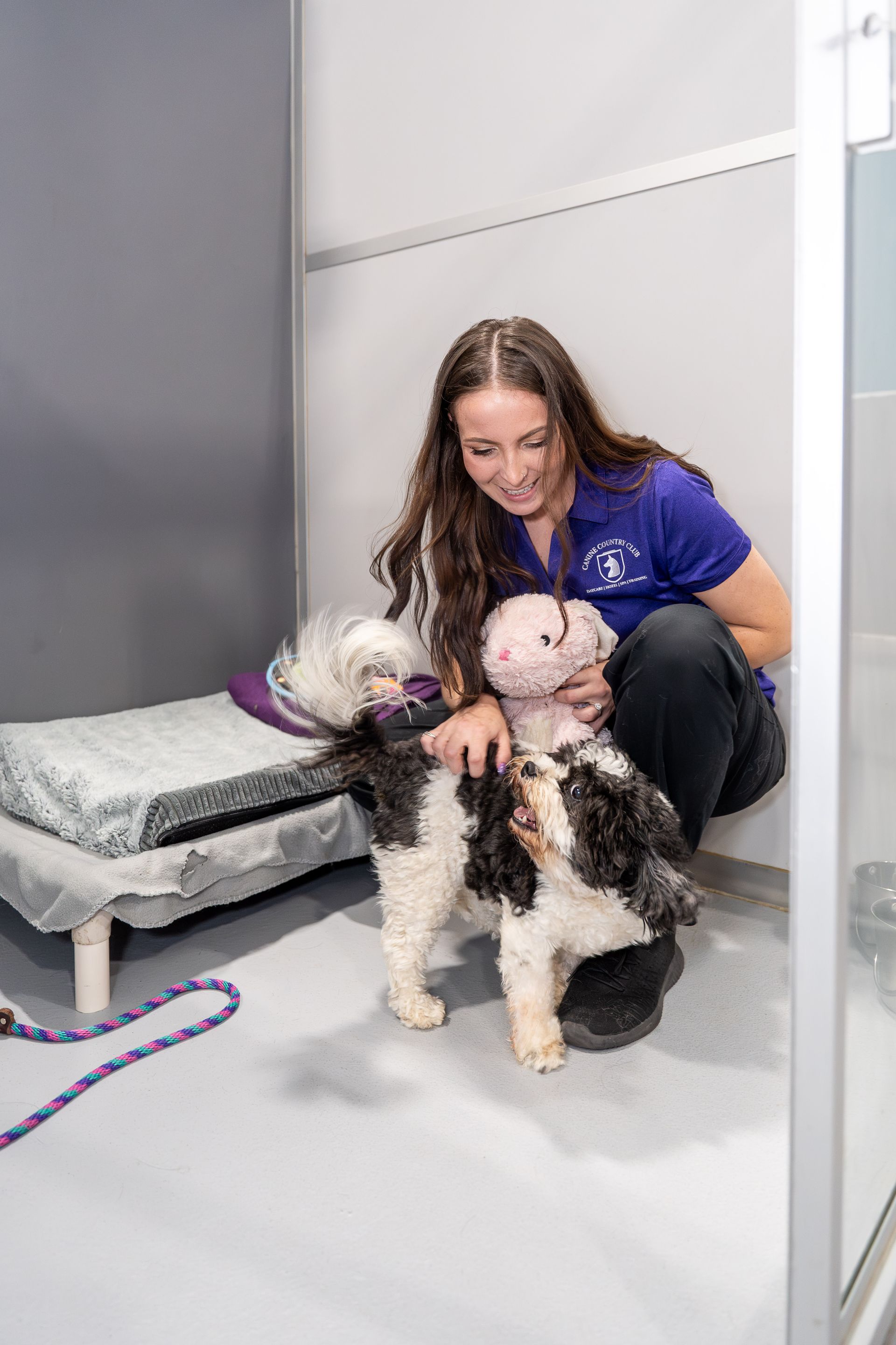 A woman is kneeling down next to two dogs in a room.