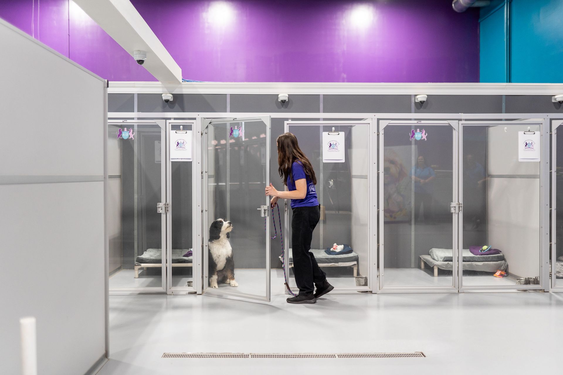 A woman is standing next to a dog in a kennel.