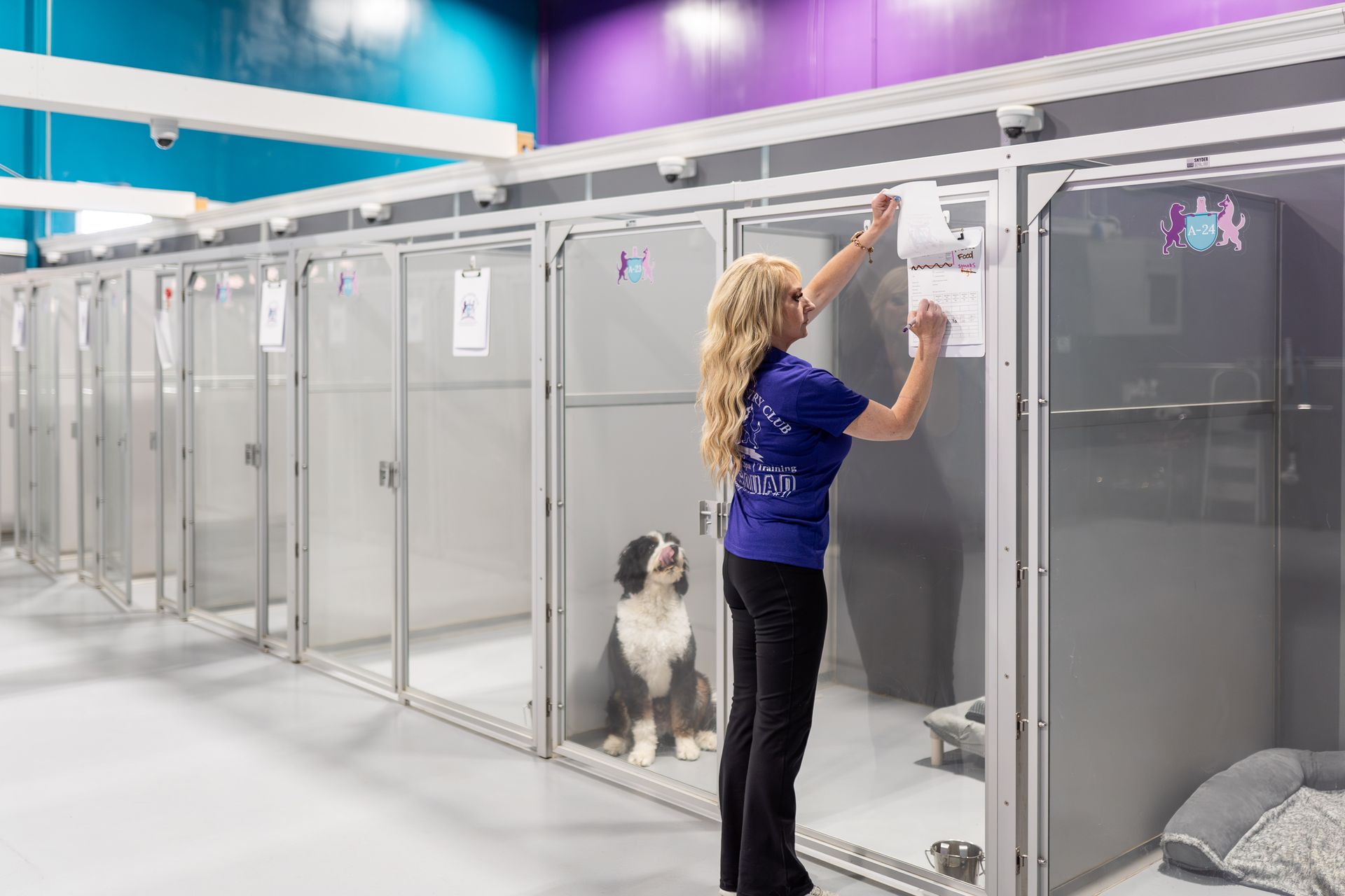 A woman is standing next to a dog in a kennel at a dog boarding facility.