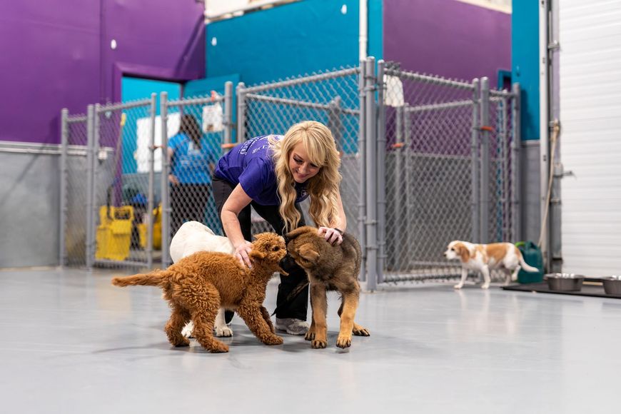 A woman is petting two dogs in a kennel.