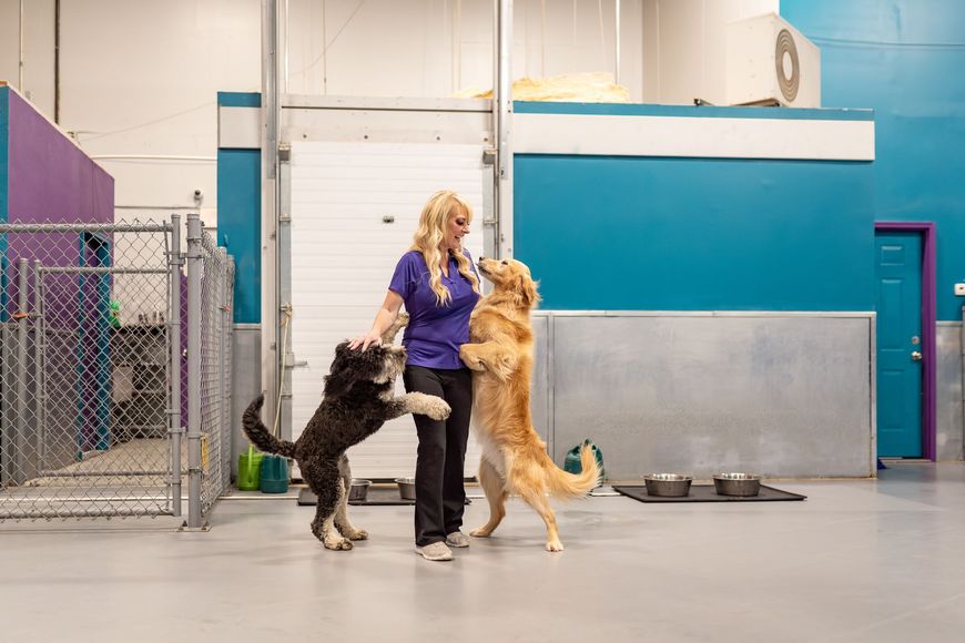 A woman is standing next to two dogs in a kennel.