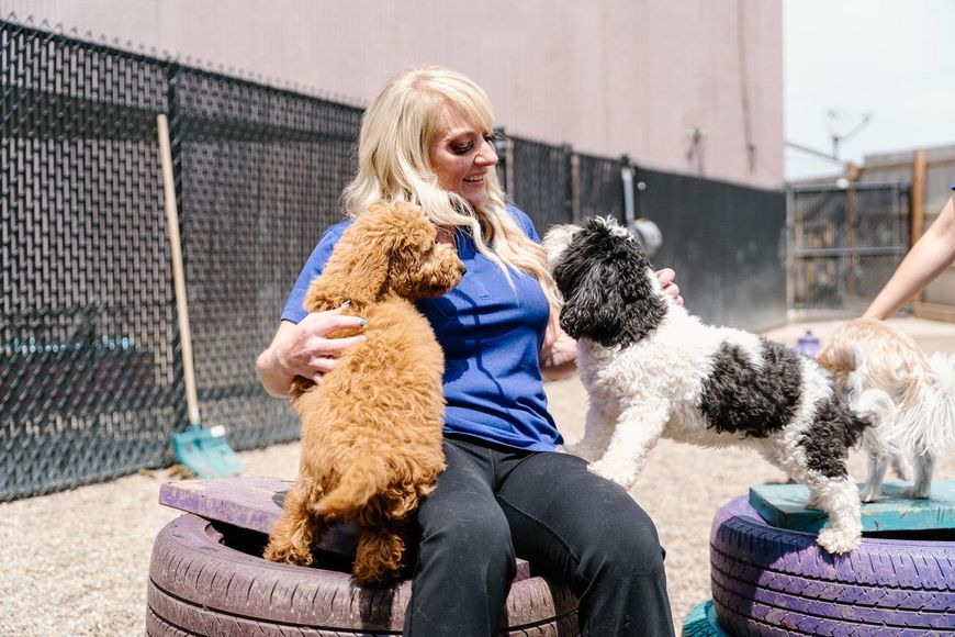 A woman is sitting on a tire with two dogs.