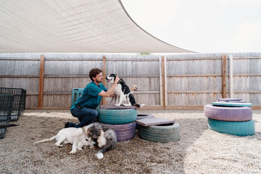 A man is kneeling down next to a pile of tires with two dogs.