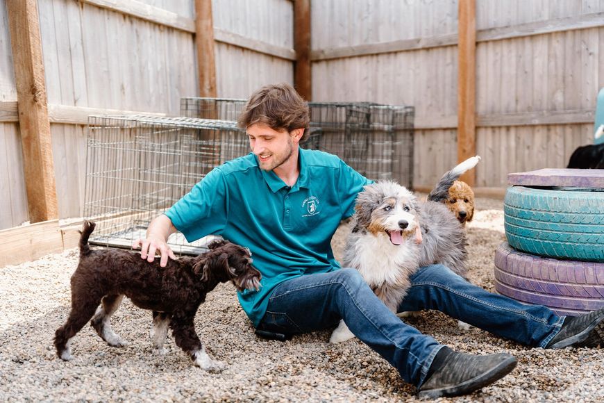 A man is sitting on the ground with two dogs.