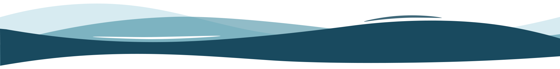 Orange Beach Dolphin Cruise