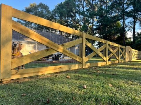 Wooden fence with wire mesh, dog peering through, yard setting.