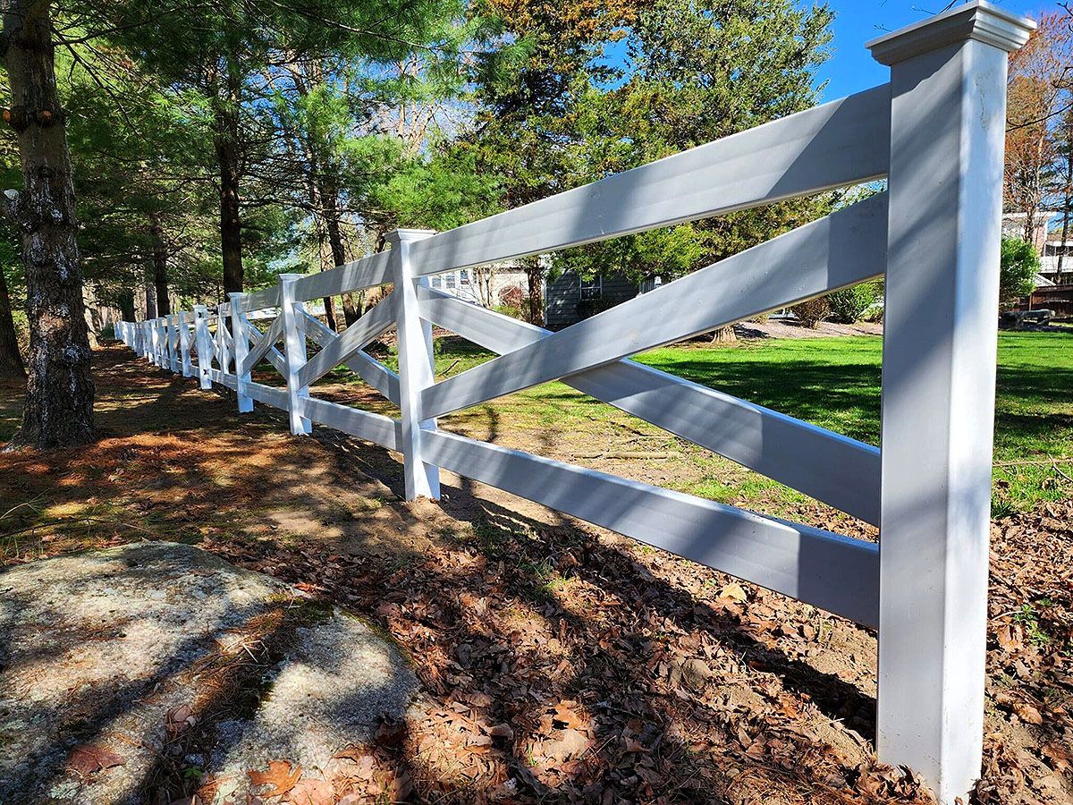 White wooden ranch fence along a tree-lined driveway in a sunny rural setting