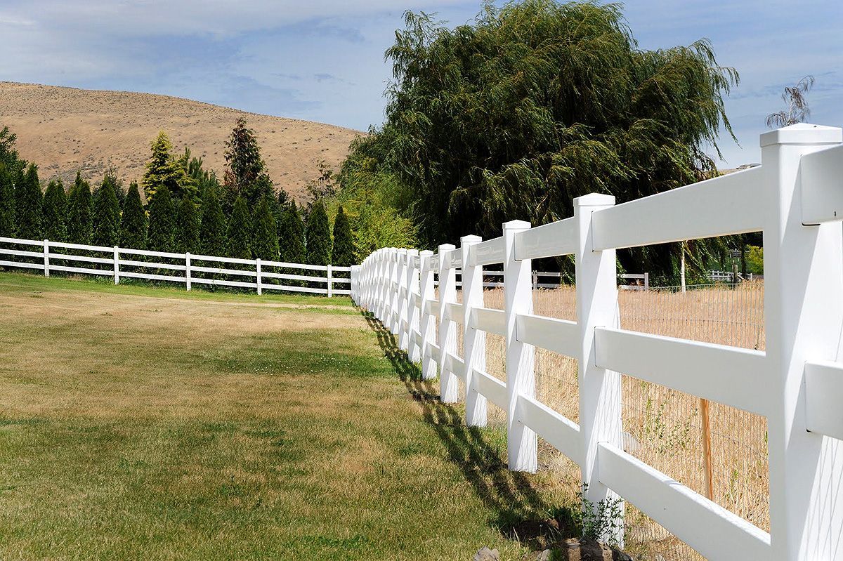 White fence along a grassy pasture with a large tree and hillside in the background