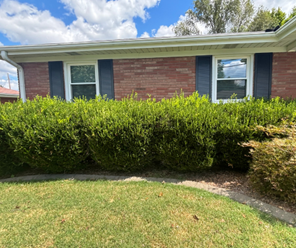 Green shrubs in front of a red brick house with dark shutters, under a cloudy sky.