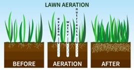 Lawn aeration illustration: Grass before, aerated with oxygen, water, and nutrients, then after, with healthy roots. Lawn aeration illustration: Grass before, aerated with oxygen, water, and nutrients, then after, with healthy roots.