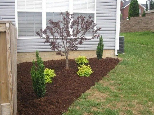 A landscaped garden bed with a small tree and shrubs, mulched with dark brown material, against a gray house with a window.