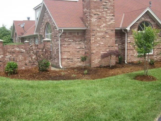 Brick house with red roof and small plants in front, surrounded by green grass and mulch.