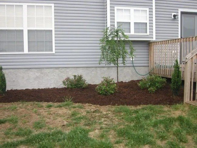 A backyard with a flower bed along the house. The bed has mulch, shrubs, and a weeping tree.