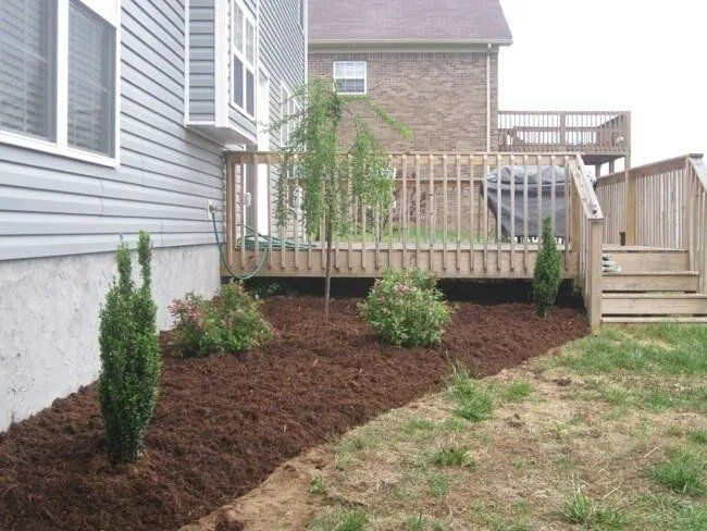 Mulched landscaping bed next to a gray house and wooden deck, with young trees and shrubs.