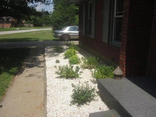 A brick house with a flower bed filled with white gravel and green plants along the side of the sidewalk.