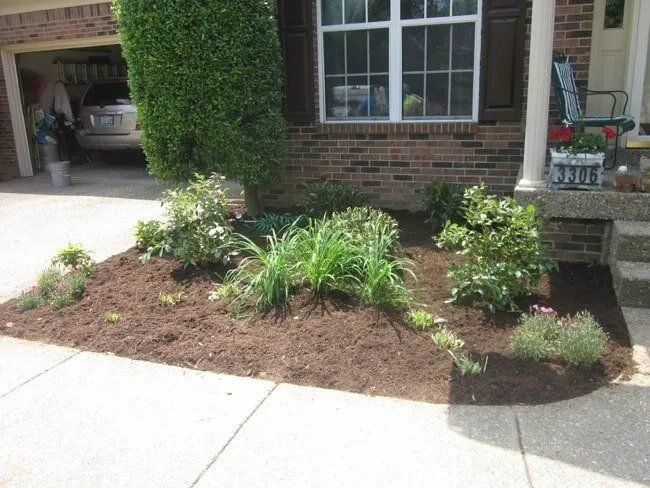 A landscaped garden bed in front of a brick house, freshly mulched and planted with various green plants.
