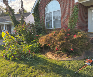 A fallen tree limb lies on grass near a brick house with overgrown landscaping; a chainsaw sits nearby.