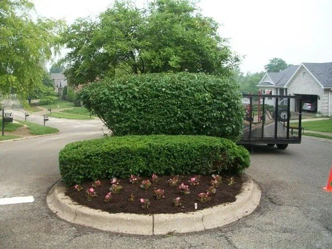 A landscaped roundabout with a trimmed green bush and a bed of pink flowers, near a trailer.