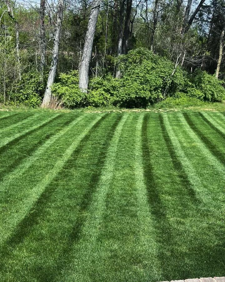 Lawn with alternating light and dark green stripes, likely from mowing, with trees and bushes in the background.