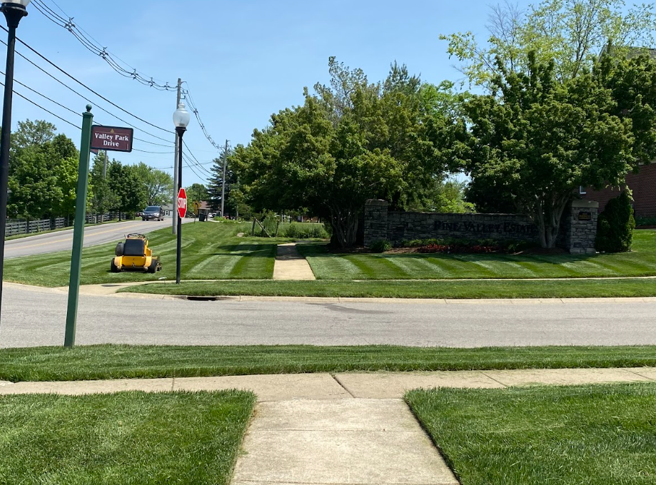 A Yellow Lawn Mower is Cutting a Lush Green Lawn next to a Sidewalk – Louisville, KY – Wayne's Lawn Service