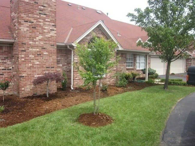 Brick house with a red roof and lush green lawn. A small tree is planted in the front yard.