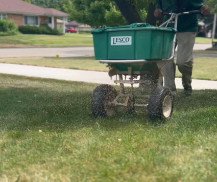 Person spreading fertilizer on grass with a green Lesco spreader.