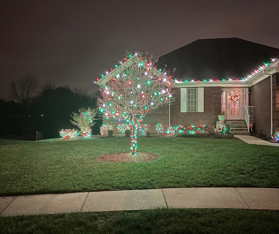 A house at night decorated with Christmas lights; a tree in the yard is wrapped in red, green, and white lights.