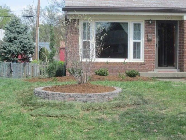 A brick house with a front yard featuring a circular garden bed mulched and a small tree.
