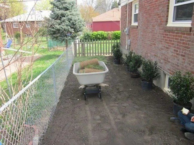 A wheelbarrow holds rolls of sod next to a brick house with potted shrubs. A chain-link fence runs along the left side.