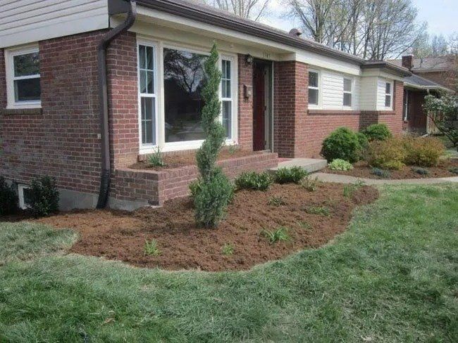 Brick house with a landscaped front yard featuring mulch, plants, and a small tree.