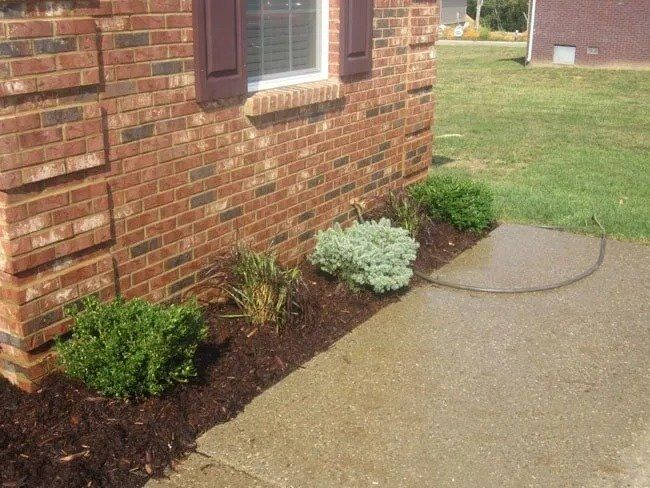 A brick house with a window and brown shutters, beside a small garden bed with green shrubs and mulch.