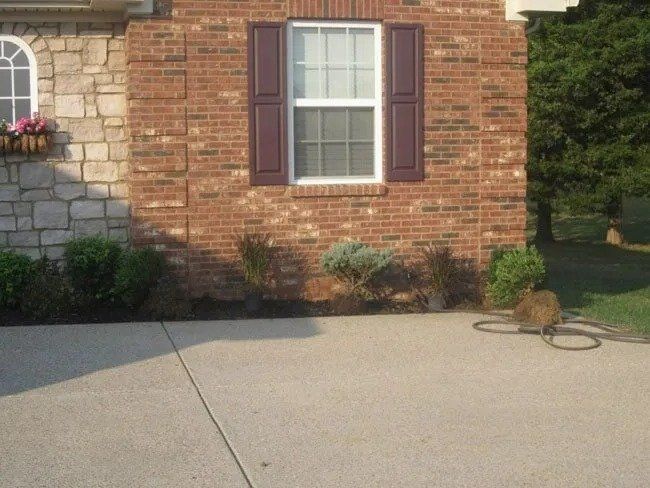 Brick house with window and purple shutters, small bushes, and a concrete driveway.