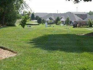 Green lawn in front of houses under a sunny sky; trees on the left and in the background.