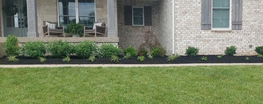 Front yard landscaping with a brick house, green lawn, and a bed of dark mulch and green shrubs.
