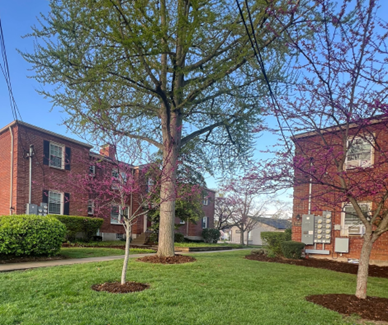 A row of brick houses with trees in front of them.