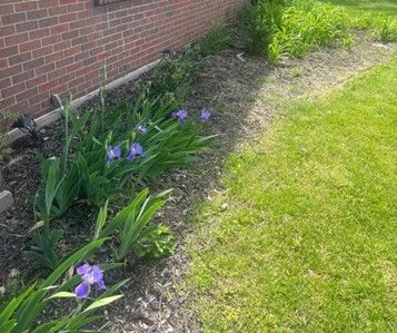 A garden abundance through landscaping.