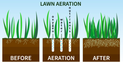 Diagram showing lawn aeration process:  Before, during, and after. Core aeration allows oxygen, water, and nutrients to reach grass roots, resulting in healthier grass.