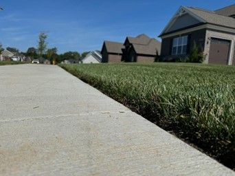 A sidewalk borders green grass in front of houses on a sunny day.