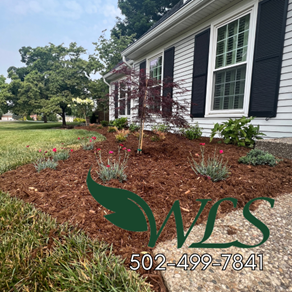 A house with a lot of mulch in front of it