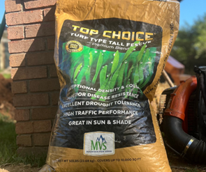 A bag of 