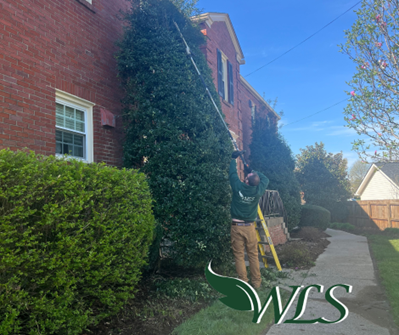 A man is standing on a ladder in front of a brick building.