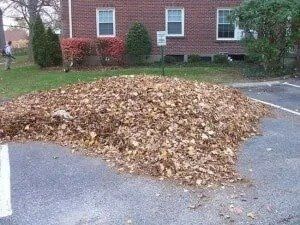A large pile of dry, brown leaves sits on asphalt near a brick building with windows; a person is visible in the background.