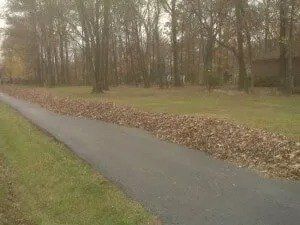 A paved road lined with a long row of fallen brown leaves. Trees and grass flank the road.