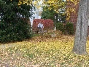 A person rakes fallen leaves in a yard on a fall day; a large tree, red and green bushes, and a brick house are visible.