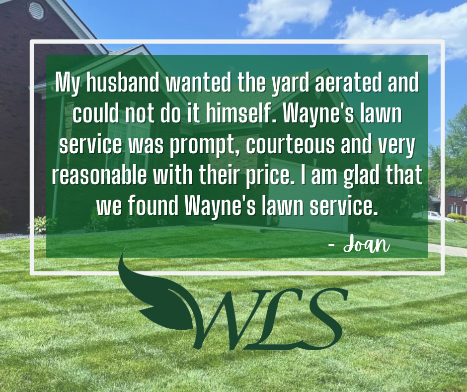 Review From Joan E – Louisville, KY – Wayne's Lawn Service