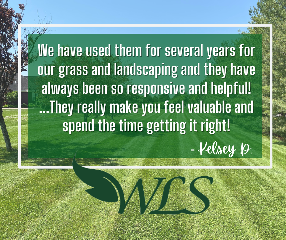 Review From Kelsey D – Louisville, KY – Wayne's Lawn Service