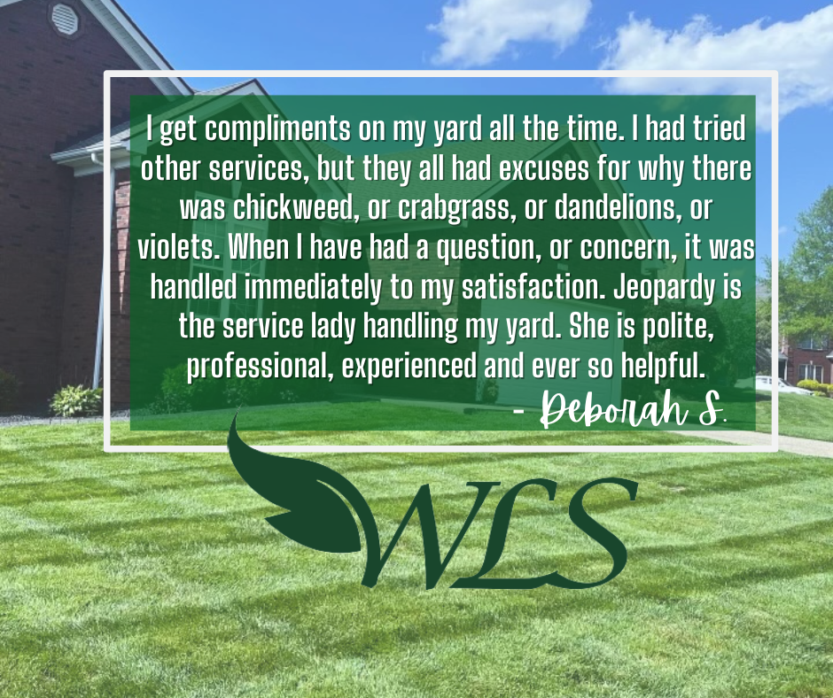 Review From Deborah S. – Louisville, KY – Wayne's Lawn Service